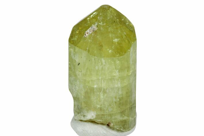 Gemmy, Yellow Apatite Crystal - Morocco #239139